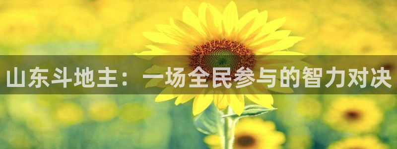 山东斗地主：一场全民参与的智力对决