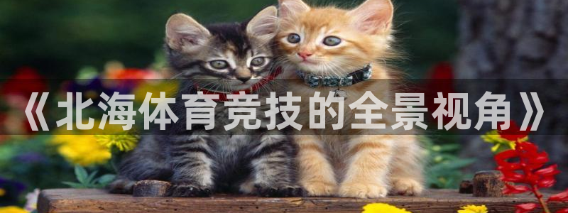 《北海体育竞技的全景视角》