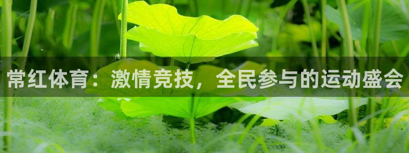 常红体育：激情竞技，全民参与的运动盛会